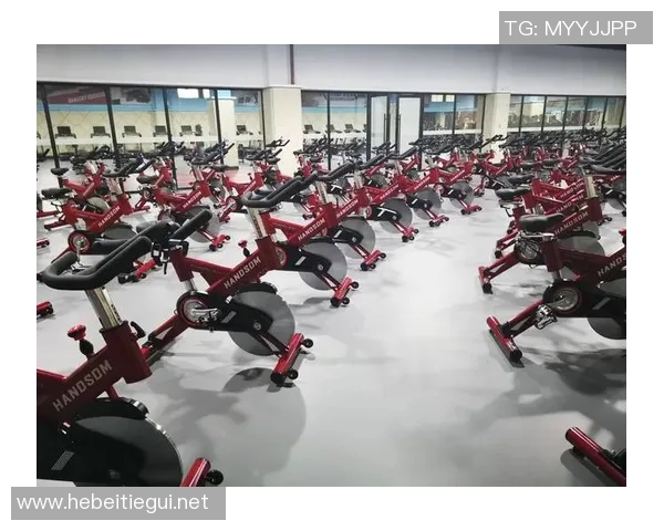 高端健身器材价格走势分析：如何合理选择性价比高的高端健身器材